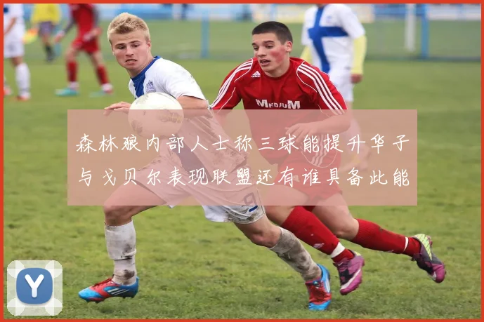 森林狼内部人士称三球能提升华子与戈贝尔表现联盟还有谁具备此能力